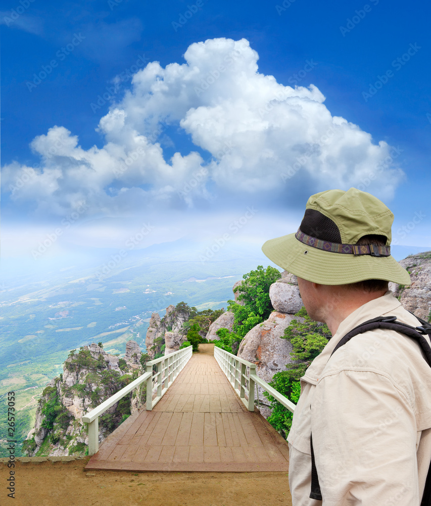 tramp looking into scenic park wooden bridge tramp looking into scenic park wooden bridge