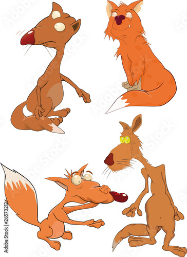 Foxes the complete set