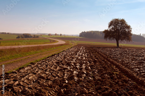 Obraz na plátně champ agricole fraîchement labouré