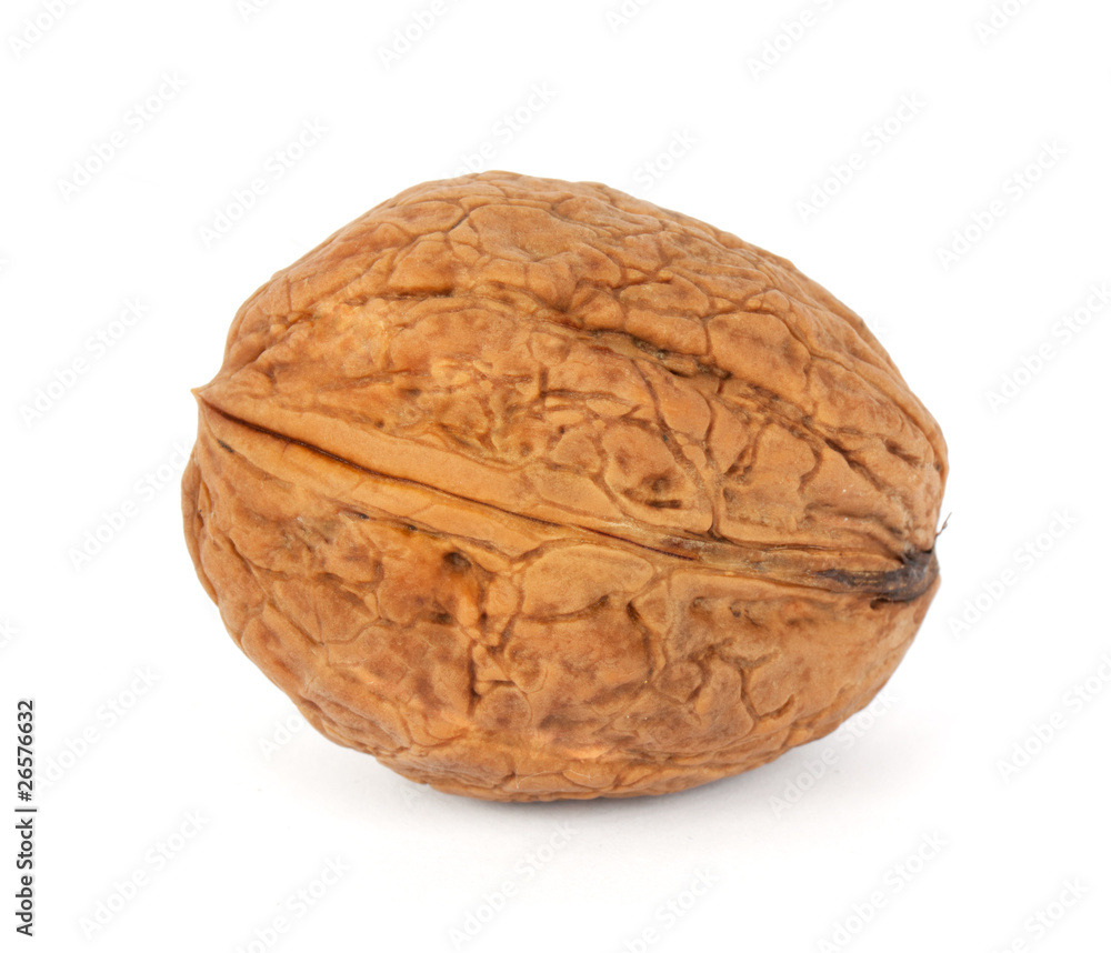 Walnut Walnut