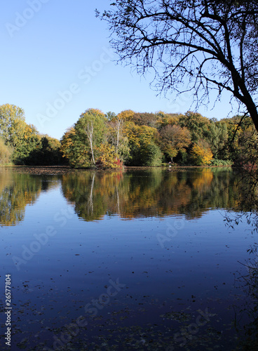 autumn landscape