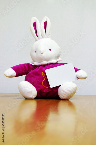 Rabbit with empty card