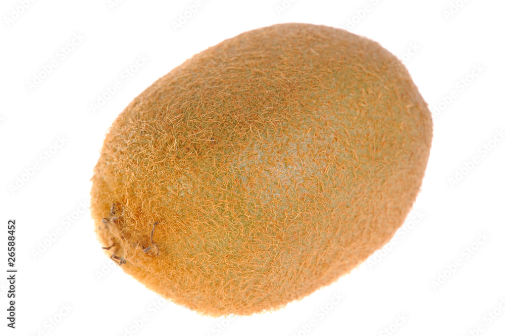 kiwi on white background kiwi on white background