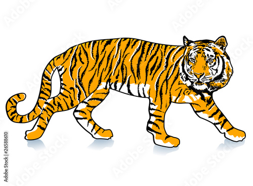 schleichender Tiger