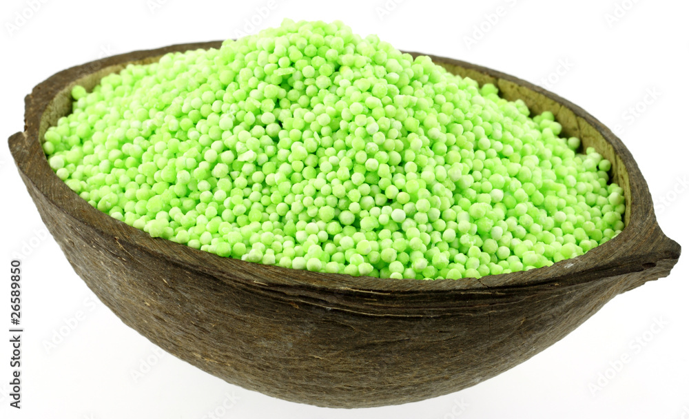 graines de tapioca dans noix de coco graines de tapioca dans noix de coco
