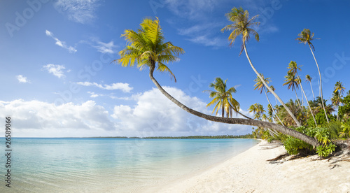 Fototapeta Naklejka Na Ścianę i Meble -  Tropical white sand beach and blue lagoon in French Polynesia
