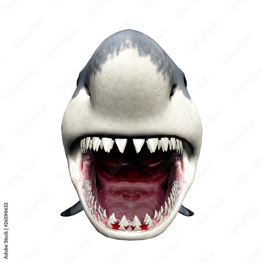 Naklejka premium Shark Attack