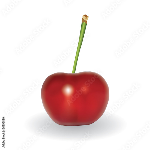 vector red cherry on the white background