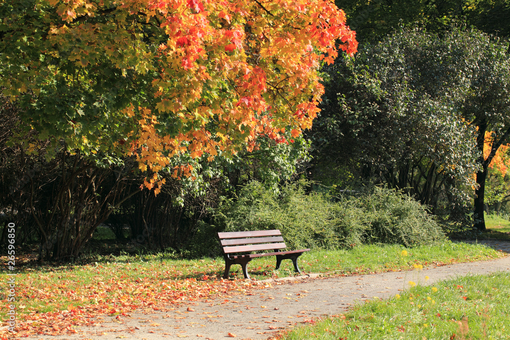 Early autumn in the park
