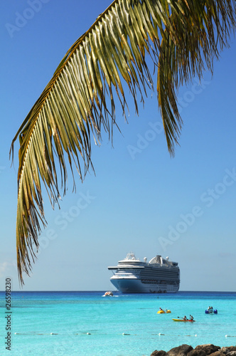 Palm Tree Branch and Cruise ship