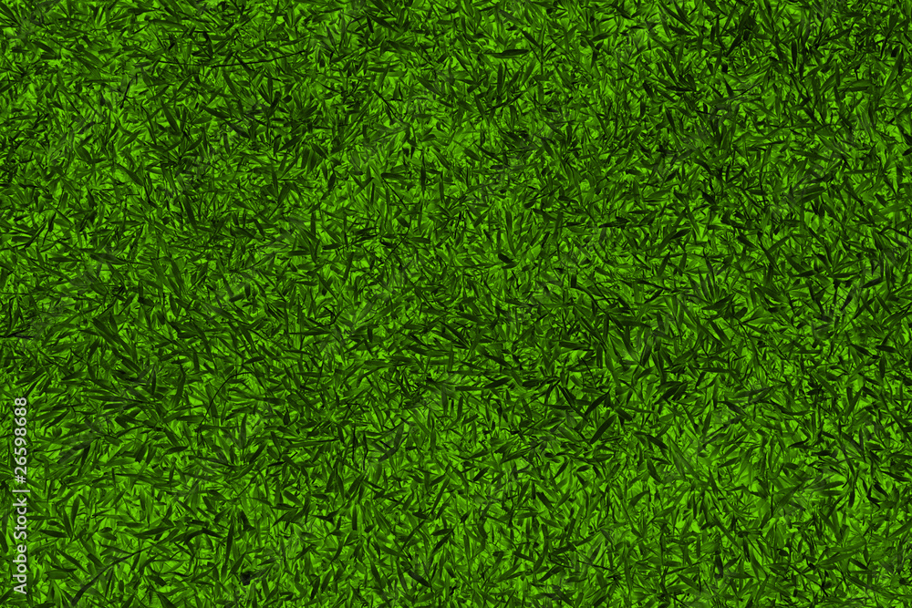 abstract grass background abstract grass background