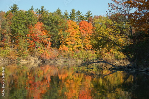 autumn reflections