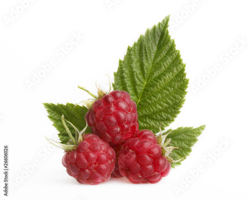 Raspberry with green leaves