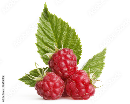 Raspberry with green leaves
