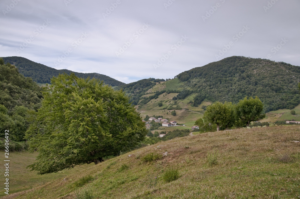 Campiña navarra