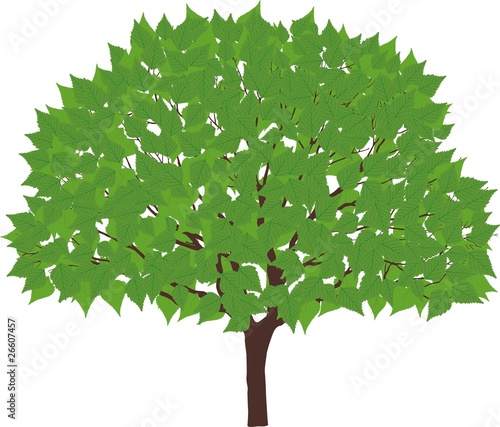 green tree