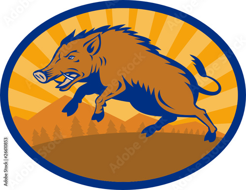wild pig hog boar razorback attacking