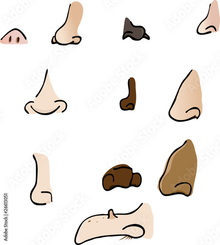 Noses II