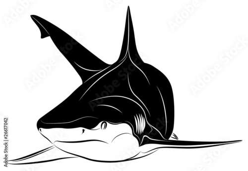 Shark, tattoo