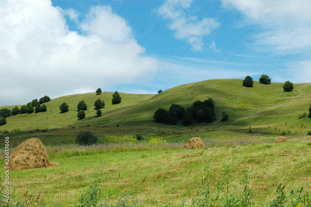 Landscape with green grass, haystack and blue sky