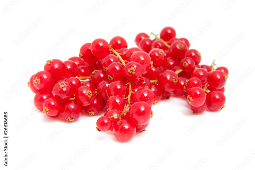 cluster red berries over white background cluster red berries over white background