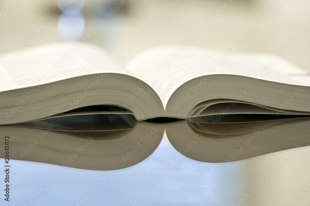 Fototapeta premium Das Buch
