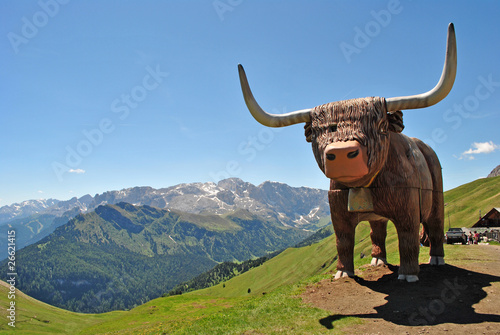 wood bison