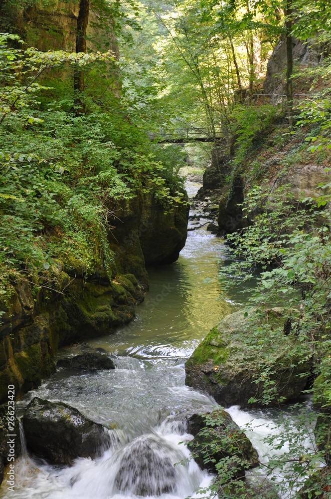 Wildbach Wildbach