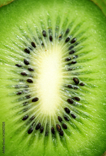 Wallpaper Mural kiwi Torontodigital.ca