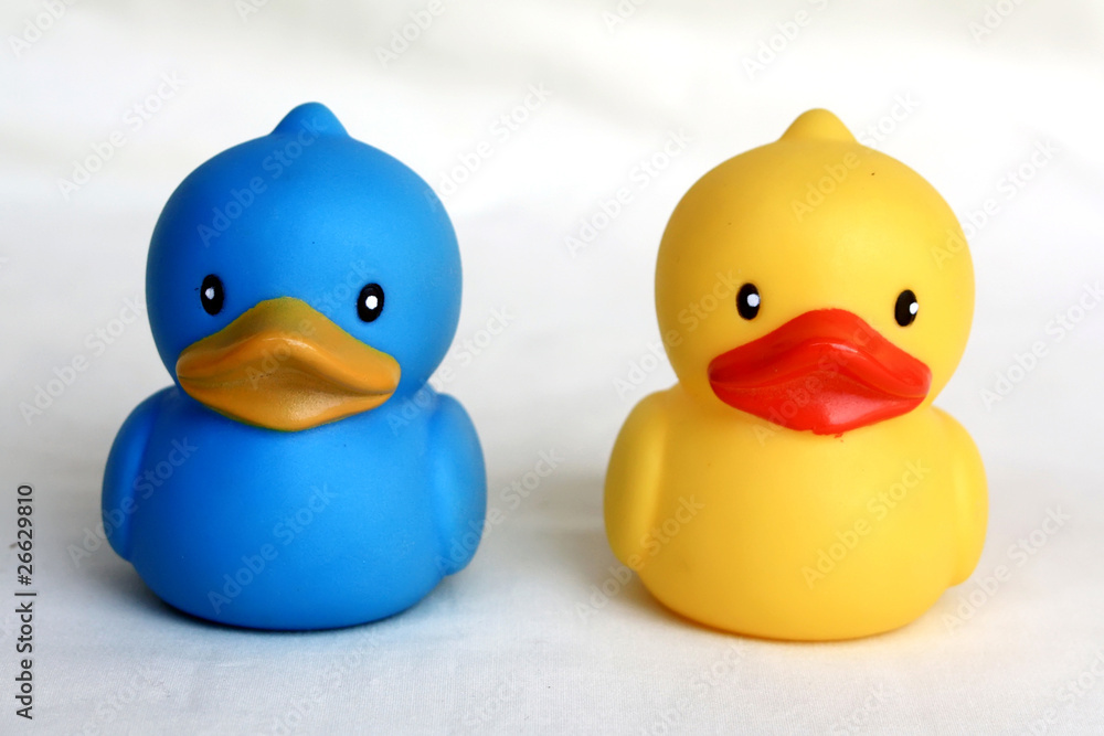 Duck toy Duck toy