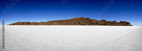 Incahuasi, l'ile aux cactus, Salar de Uyuni en Bolivie
