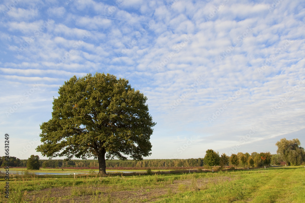 Herbst in Brandenburg Herbst in Brandenburg