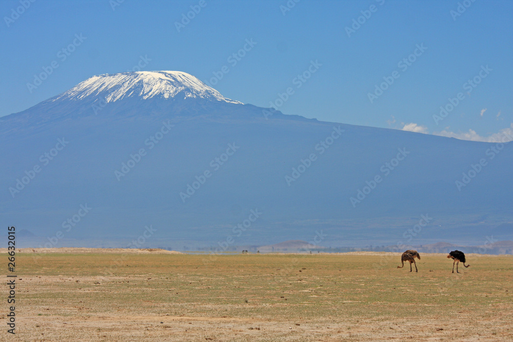 Kilimangiaro