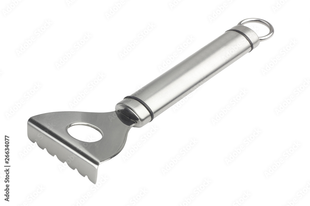 Stainless steel fish scraper Stainless steel fish scraper