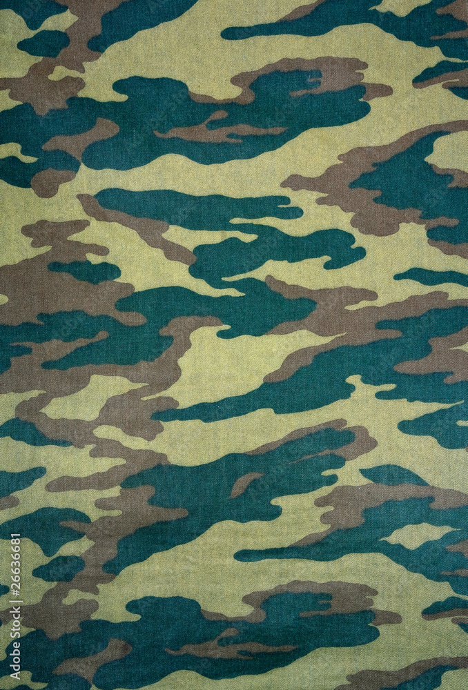 Fototapeta premium camouflage background