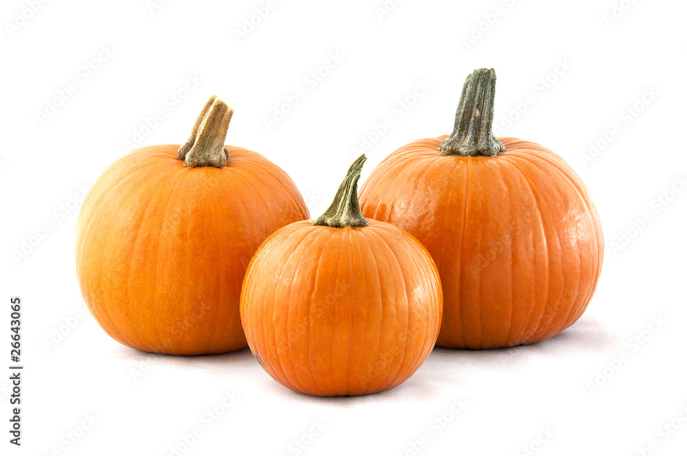 3 Pumpkins 3 Pumpkins