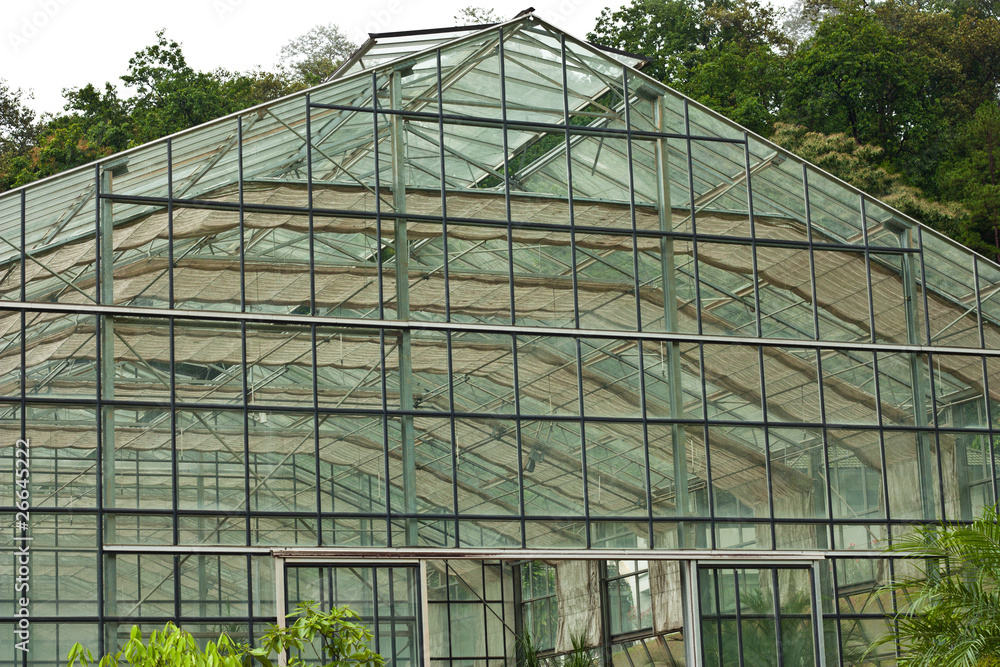 Fototapeta premium Greenhouse