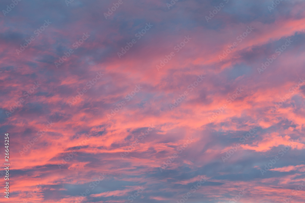 Pink Cloudscape in Early Morning