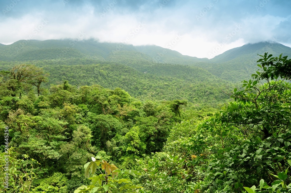 Naklejka premium Montañas con selva tropical en Costa Rica