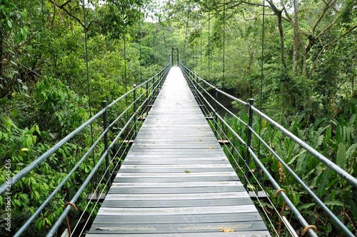 Puente sobre la selva de Costa Rica photo