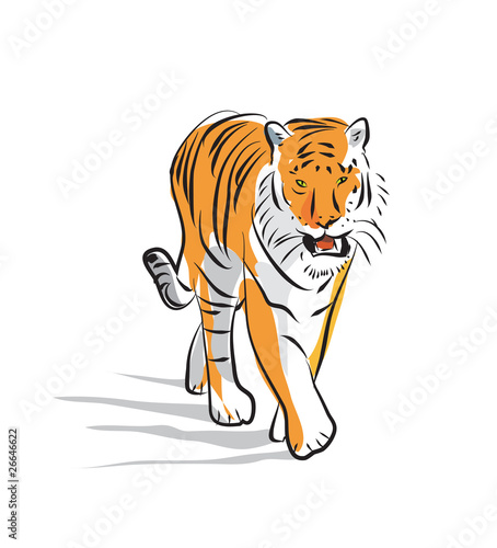 tiger