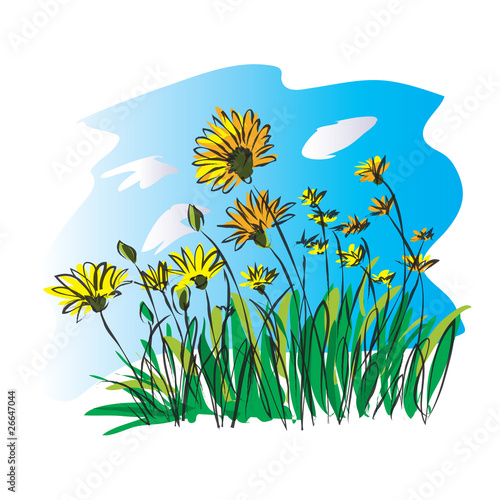 flowers in field