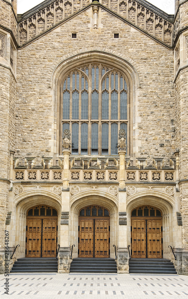 Medieval Gothic styled doors
