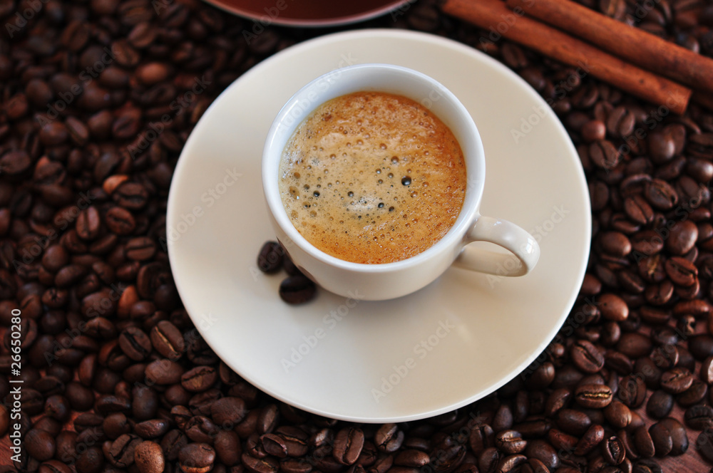 Tasse Tasse