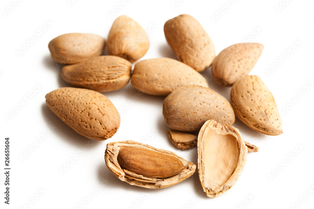 almonds in nutshell almonds in nutshell