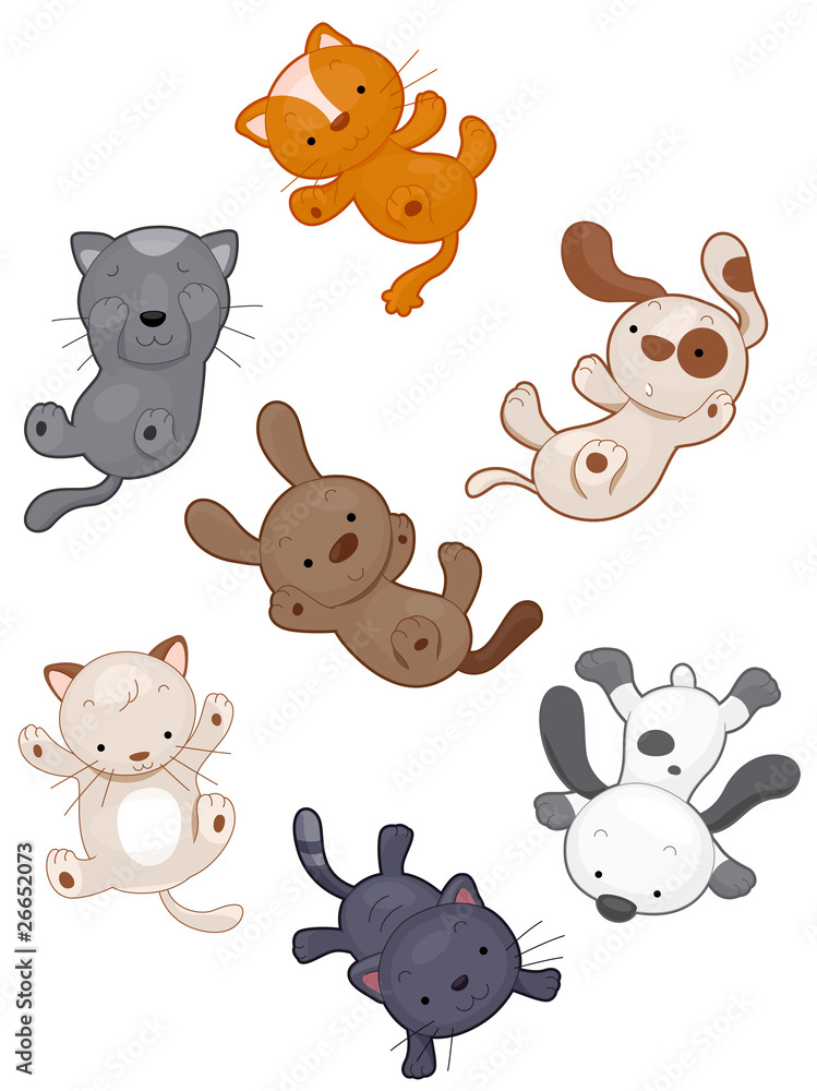 Raining Cats and Dogs Raining Cats and Dogs