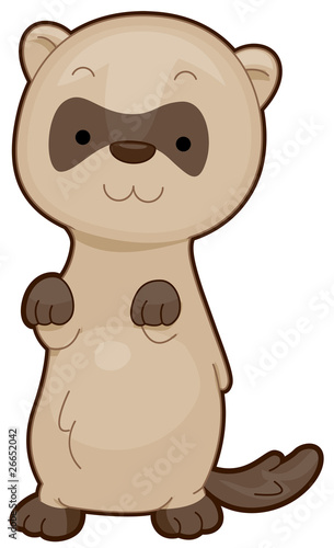 Cute Ferret