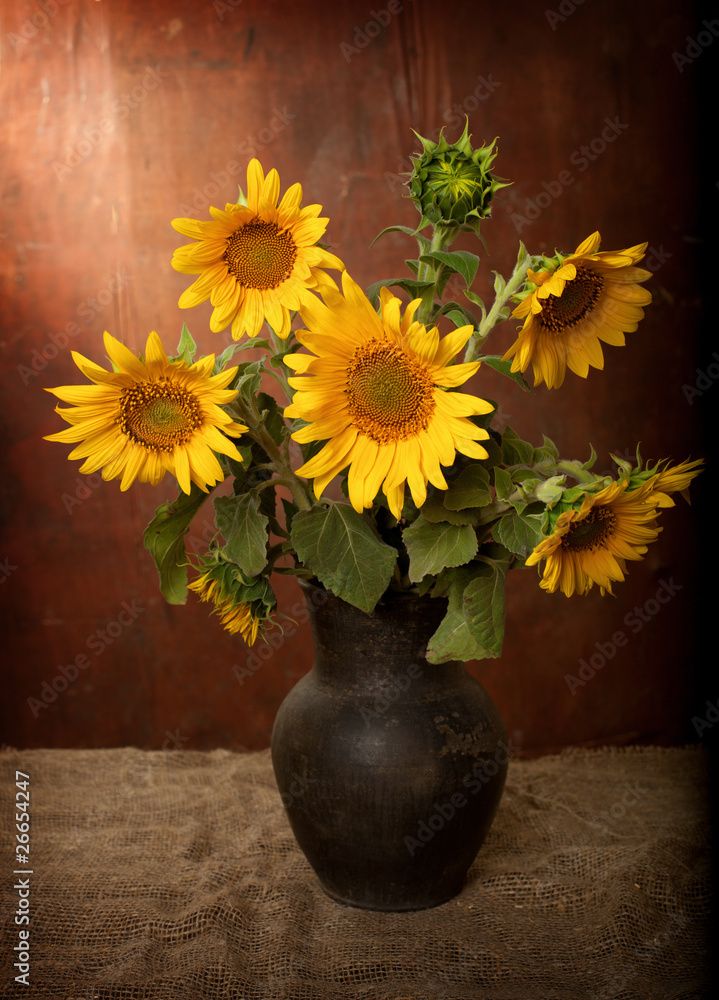 Obraz premium sunflowers in a clay pot. still life