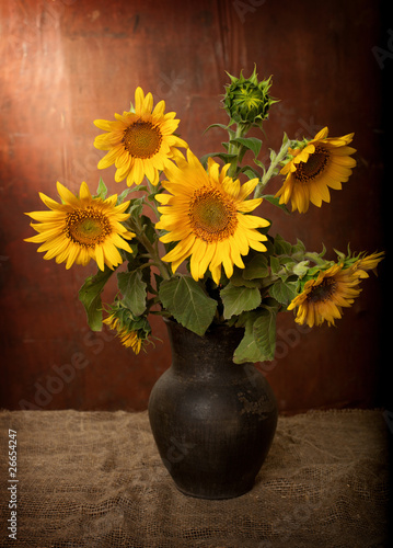 Fototapeta Naklejka Na Ścianę i Meble -  sunflowers in a clay pot.  still life