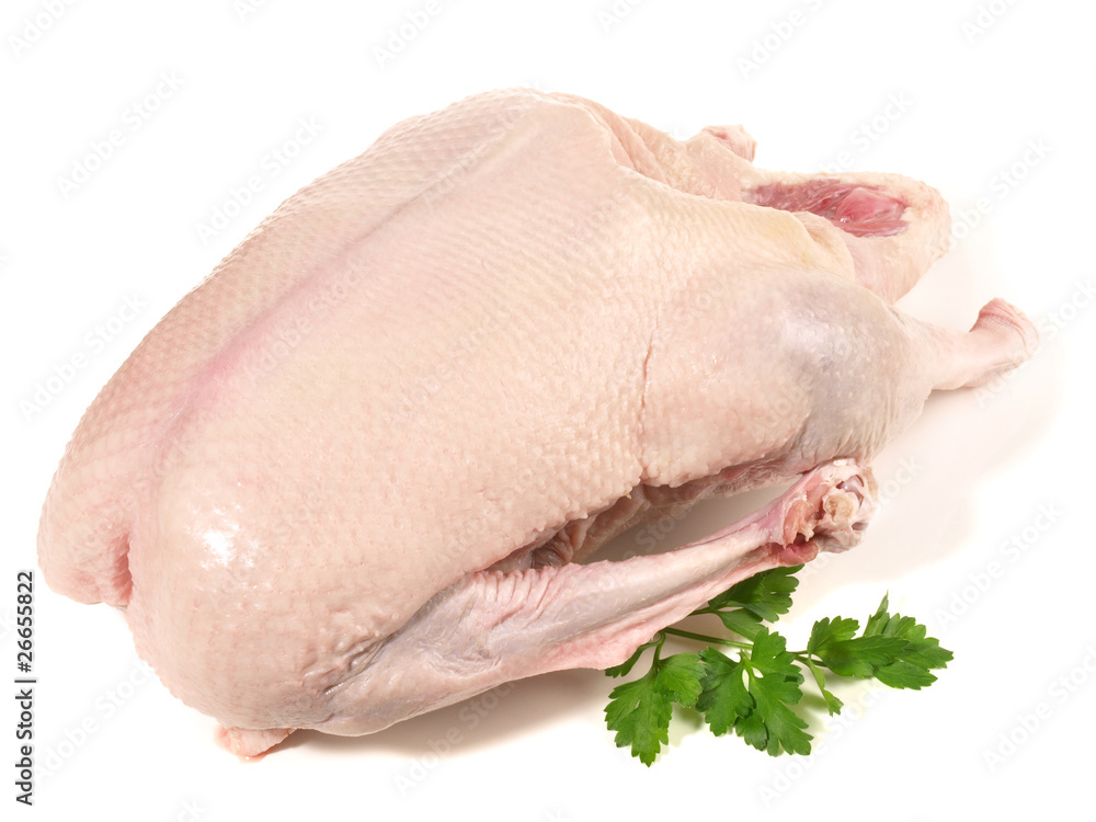 Rohe Gans Rohe Gans